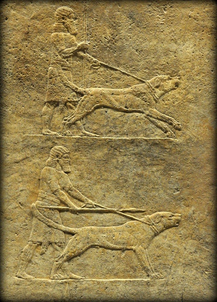 Assyrian Lion