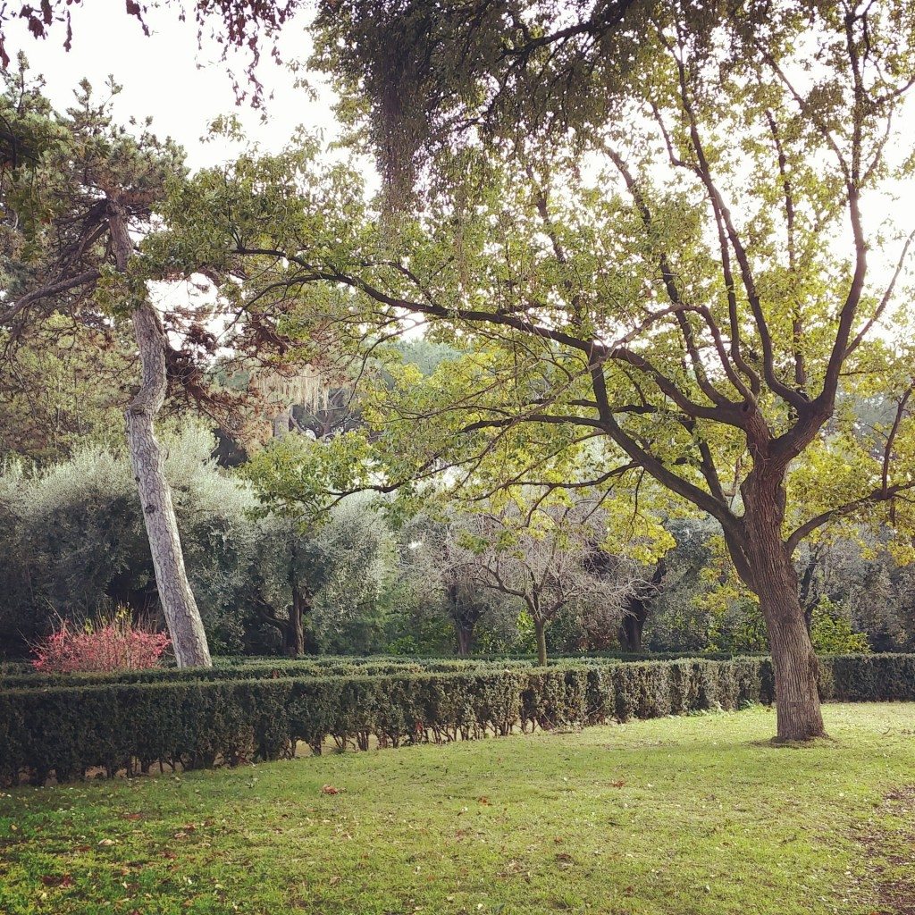 The modern beautiful gardens on the Palatine as seen during our Rome visit.